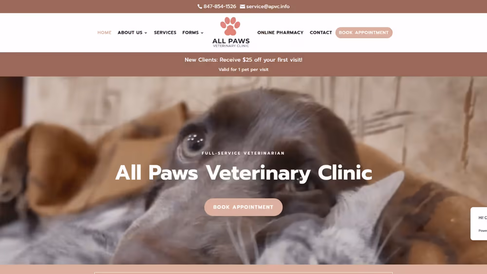 All Paws Veterinary Clinic project visual